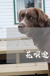 花呗逾期可以借到网贷吗 花呗逾期可以借到网贷吗