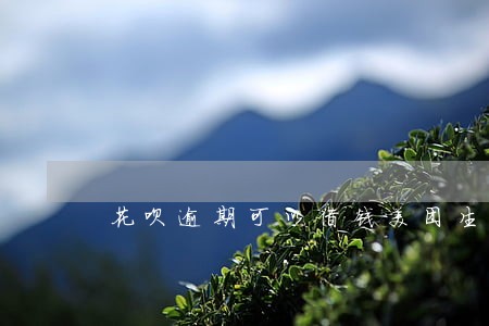 花呗逾期可以借钱美团生活费吗 花呗逾期可以借钱美团生活费吗