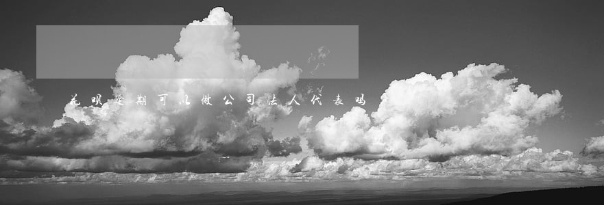 花呗逾期可以做公司法人代表吗 花呗逾期可以做公司法人代表吗
