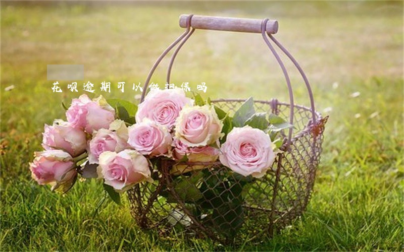 花呗逾期可以做担保吗