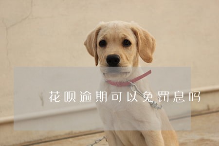 花呗逾期可以免罚息吗 花呗逾期可以免罚息吗
