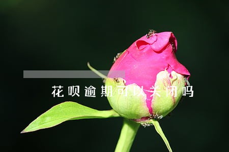 花呗逾期可以关闭吗 花呗逾期可以关闭吗