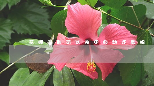 花呗逾期可以关闭自动还款吗