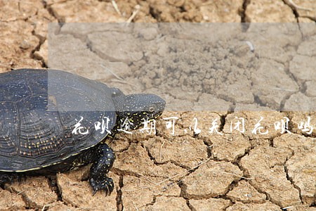 花呗逾期可以关闭花呗吗 花呗逾期可以关闭花呗吗