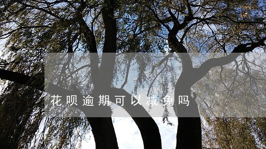花呗逾期可以减免吗 花呗逾期可以减免吗