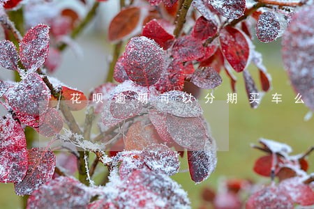 花呗逾期可以分期买车么 花呗逾期可以分期买车么