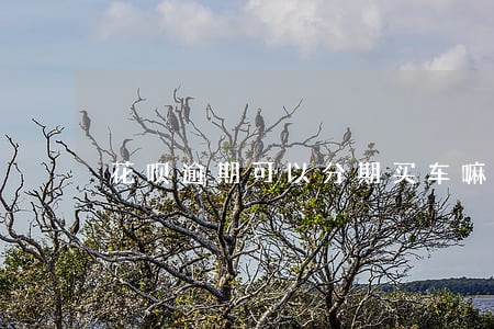 花呗逾期可以分期买车嘛 花呗逾期可以分期买车嘛