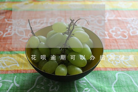 花呗逾期可以办招商储蓄卡吗 花呗逾期可以办招商储蓄卡吗