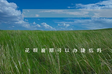 花呗逾期可以办捷信吗 花呗逾期可以办捷信吗