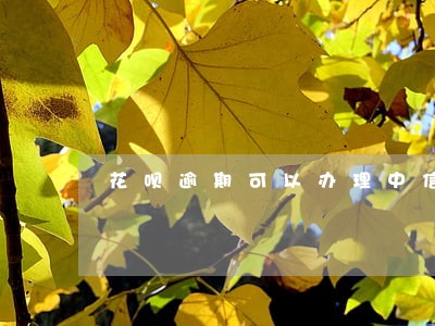 花呗逾期可以办理中信银行卡吗 花呗逾期可以办理中信银行卡吗