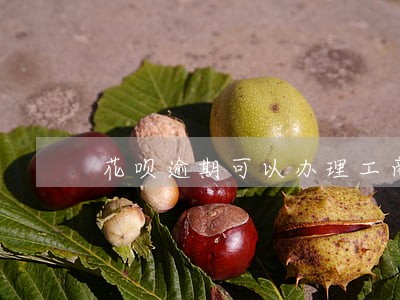 花呗逾期可以办理工商银行的卡吗 花呗逾期可以办理工商银行的卡吗