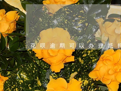 花呗逾期可以办理抵押贷吗 花呗逾期可以办理抵押贷吗