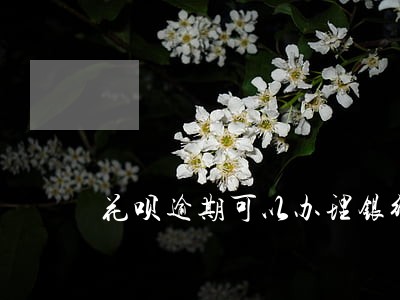 花呗逾期可以办理银行卡 花呗逾期可以办理银行卡