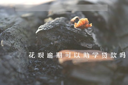 花呗逾期可以助学贷款吗 花呗逾期可以助学贷款吗