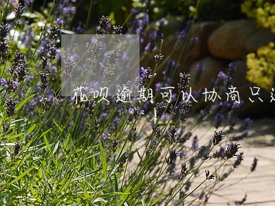 花呗逾期可以协商只还本金吗 花呗逾期可以协商只还本金吗