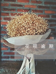 花呗逾期可以协商开通回来吗 花呗逾期可以协商开通回来吗