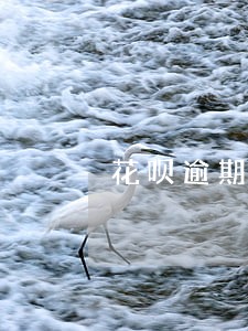 花呗逾期可以协商重组分期 花呗逾期可以协商重组分期