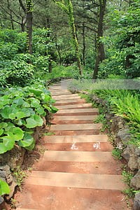 花呗逾期可以在信用社贷款吗 花呗逾期可以在信用社贷款吗
