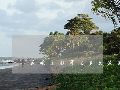 花呗逾期可以多久恢复正常