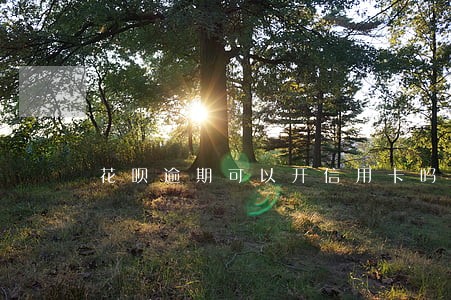 花呗逾期可以开信用卡吗 花呗逾期可以开信用卡吗