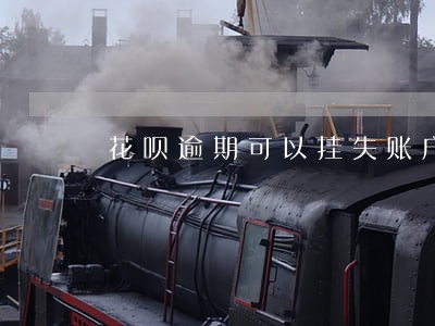花呗逾期可以挂失账户吗 花呗逾期可以挂失账户吗