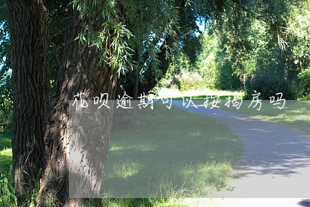 花呗逾期可以按揭房吗