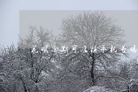 花呗逾期可以换手机号吗