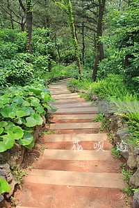 花呗逾期可以接贷款吗 花呗逾期可以接贷款吗