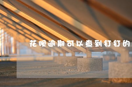 花呗逾期可以查到钉钉的单位么 花呗逾期可以查到钉钉的单位么