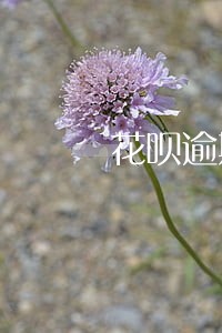 花呗逾期可以民事协商吗 花呗逾期可以民事协商吗