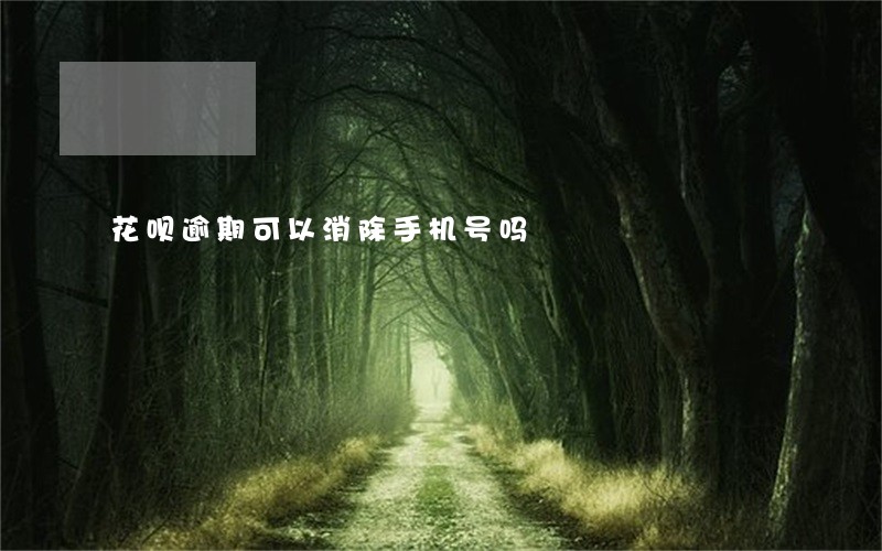 花呗逾期可以消除手机号吗 花呗逾期可以消除手机号吗