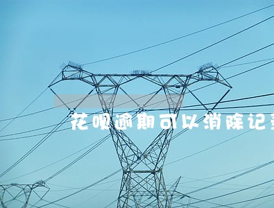 花呗逾期可以消除记录吗 花呗逾期可以消除记录吗