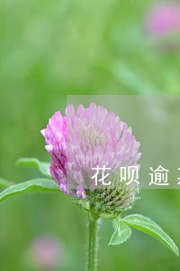 花呗逾期可以淘宝购物吗 花呗逾期可以淘宝购物吗