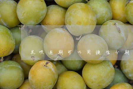 花呗逾期可以用捷信分期手机吗 花呗逾期可以用捷信分期手机吗