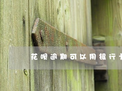 花呗逾期可以用银行卡分期付款吗 花呗逾期可以用银行卡分期付款吗