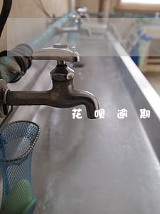 花呗逾期可以申请减免违约金吗 花呗逾期可以申请减免违约金吗