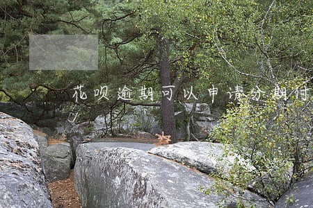 花呗逾期可以申请分期付款吗 花呗逾期可以申请分期付款吗