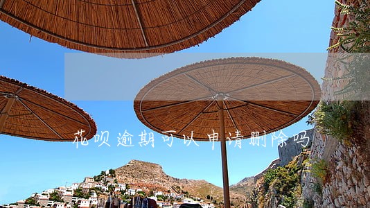 花呗逾期可以申请删除吗 花呗逾期可以申请删除吗