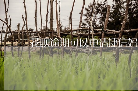 花呗逾期可以申请捷信妈 花呗逾期可以申请捷信妈