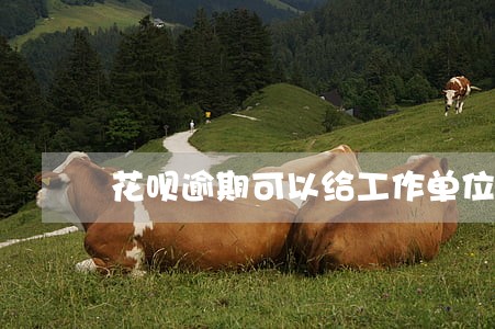 花呗逾期可以给工作单位打电话吗 花呗逾期可以给工作单位打电话吗