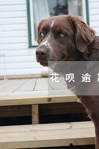 花呗逾期可以联系客服解吗 花呗逾期可以联系客服解吗