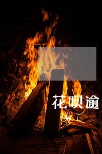 花呗逾期可以补办手机卡 花呗逾期可以补办手机卡