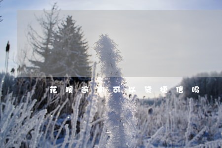 花呗逾期可以贷捷信吗 花呗逾期可以贷捷信吗