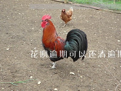 花呗逾期可以还清逾期账单 花呗逾期可以还清逾期账单