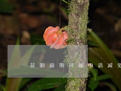花呗逾期可能申请减免吗 花呗逾期可能申请减免吗