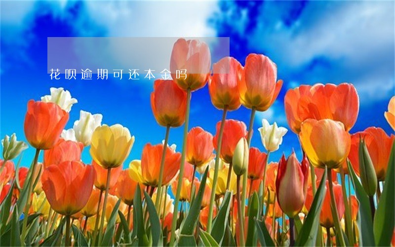 花呗逾期可还本金吗 花呗逾期可还本金吗
