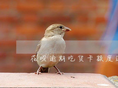 花呗逾期吃货卡额度还能用吗