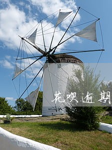 花呗逾期各种网贷逾期 花呗逾期各种网贷逾期