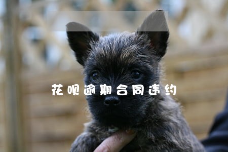 花呗逾期合同违约 花呗逾期合同违约