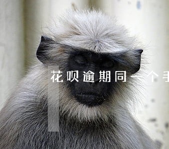 花呗逾期同一个手机号下面 花呗逾期同一个手机号下面